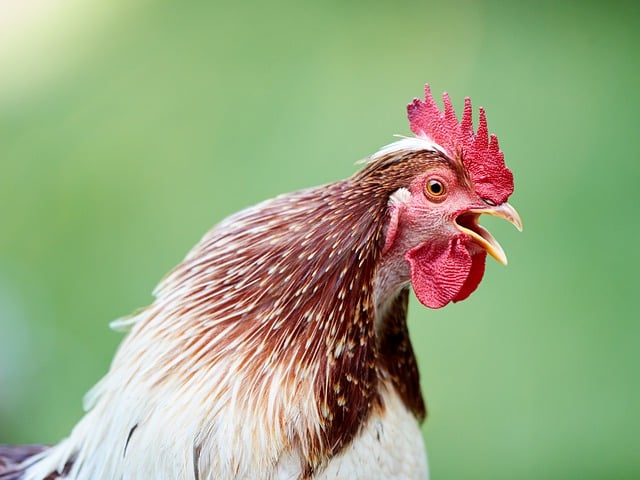 Zrobiła paznokcie na pogrzeb i cała rodzina była w szoku
